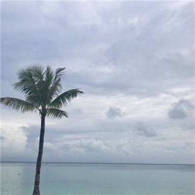 官在民间游戏下载