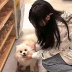 口袋之路最新版本